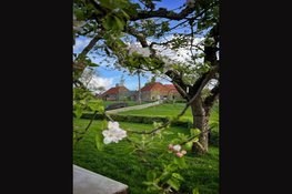 Smartphone Fotografie workshop in het Zuiderzeemuseum