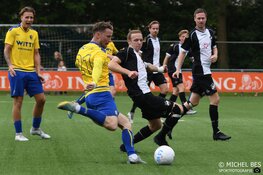 LSVV handhaaft zich op eigen kracht