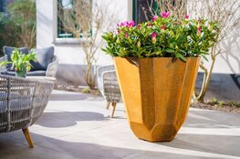 De robuuste charme van cortenstaal plantenbakken