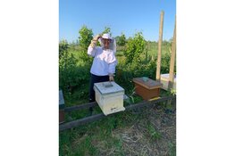 Zaterdag 13 juli 2024 Open Imkerij Dag bij Imkerschool op de Zwirs Wijngaard in Oterleek