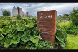 Ontdek de nieuwe Locaties voor Smartphone Fotografie Workshops!