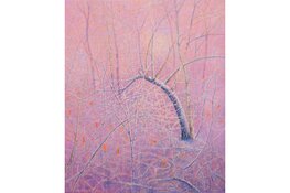 Laatste weekend expositie ‘transparante ruimte’