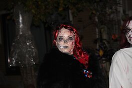 Ahornlaan wordt AHorrorlaan: Halloween groots gevierd in Heerhugowaardse Bomenwijk