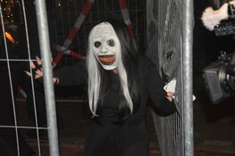 Ahornlaan wordt AHorrorlaan: Halloween groots gevierd in Heerhugowaardse Bomenwijk