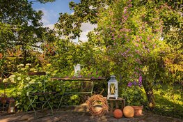 Zo zorg je voor het echte vakantiegevoel in je eigen tuin