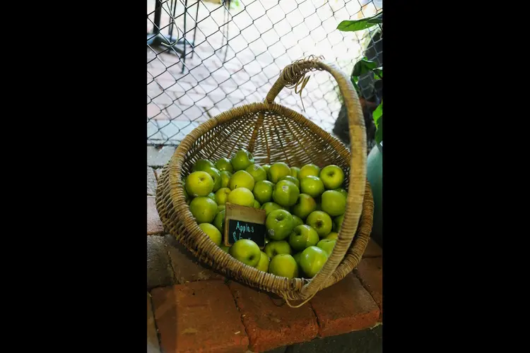 Het succesverhaal van drie ondernemers die fruit op de kaart zetten in Dijk en Waard