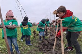 Kinderen planten windhaag op allereerste BoerenBoomfeestdag