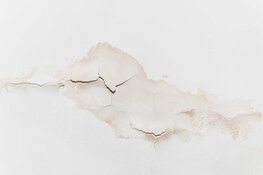 Voorkom schade door plafond lekkage met vroegtijdige detectie