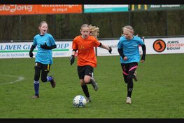 De kampioenen schoolvoetbal van Dijk en Waard zijn bekend