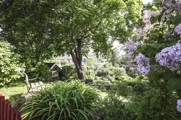 Waarom zou je een groene tuin verkiezen bij je huis?