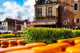 20.000 tulpen en 30.000 kilo kaas – De Alkmaarse Tulpenkaasmarkt is een bijzondere!