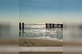 Emoties als richtingaanwijzer