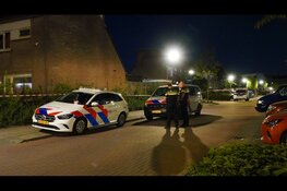 Politie zoekt getuigen van steekincident aan Zaan