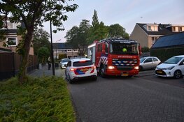 Containerbrand aan Albert Cuyplaan snel onder controle