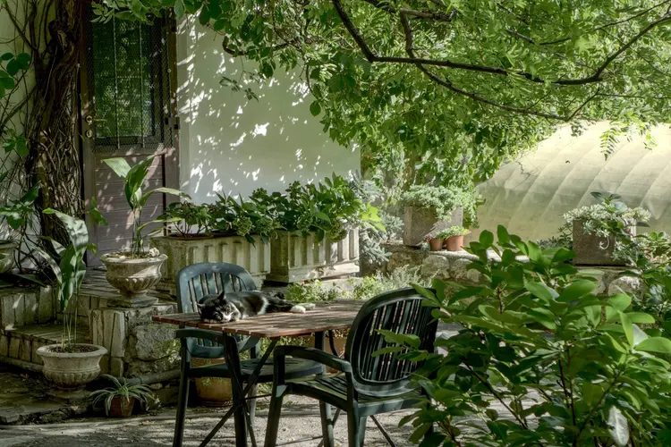 Stoom je tuin klaar voor ieder seizoen