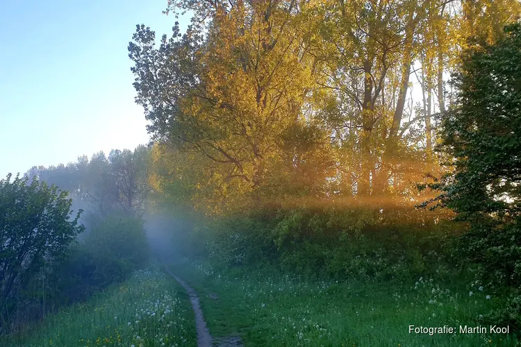 Ga mee met de natuurwandeling op zondag 15 juni door Geestmerambacht