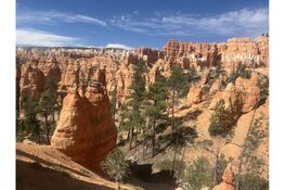 Wat de Natuur Mij Leerde over Pilates