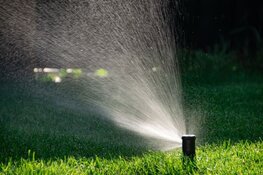 Tuinieren in Dijk en Waard