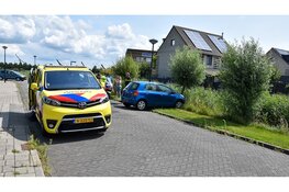 Automobilist aangehouden na botsing tegen kleine boom
