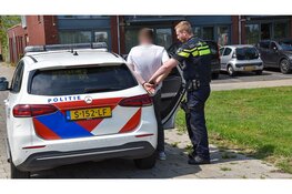 Automobilist aangehouden na botsing tegen kleine boom