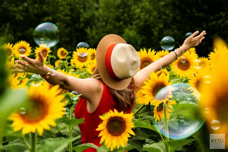 Maak je tuin klaar voor de zomer met deze tips en ideeën