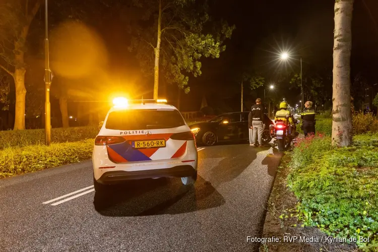 Tientallen koeien ontsnapt aan Middenweg, auto raakt beschadigd