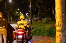 Tientallen koeien ontsnapt aan Middenweg, auto raakt beschadigd