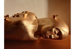 Expositie tuinen dromen