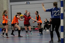 Publiek de grote winnaar bij spannende Heerhugowaardse handbalderby