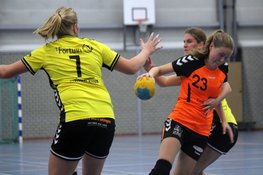 Hoofdklasse handbal: Winst voor KSV en Tornado