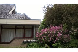 De Zorgverzekering uitgelegd: Wat, Hoe en Waarom