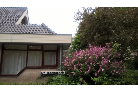 De Zorgverzekering uitgelegd: Wat, Hoe en Waarom