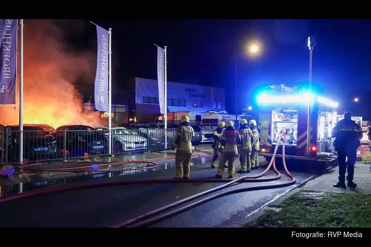 Metershoge vlammen op industrieterrein: meerdere auto's in brand, mogelijk brandstichting