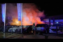 Metershoge vlammen op industrieterrein: meerdere auto's in brand, mogelijk brandstichting
