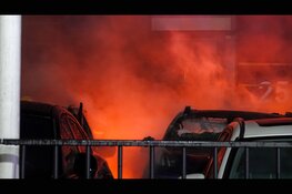 Metershoge vlammen op industrieterrein: meerdere auto's in brand, mogelijk brandstichting