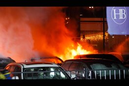 Metershoge vlammen op industrieterrein: meerdere auto's in brand, mogelijk brandstichting