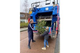 Lever je kerstboom in en verdien 50 cent per boom