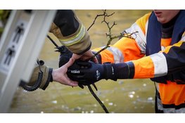 Kraai gewond na verstrikking in visdraad Heerhugowaard. Brandweer schiet te hulp