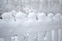 Ontdek de kwaliteit en service achter jouw tuinafscheiding