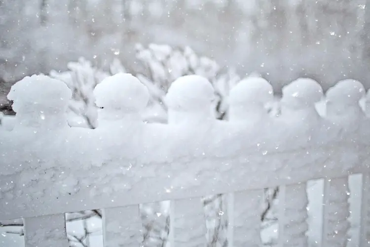 Ontdek de kwaliteit en service achter jouw tuinafscheiding
