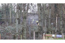 Brand in houten opslag in Sint Pancras