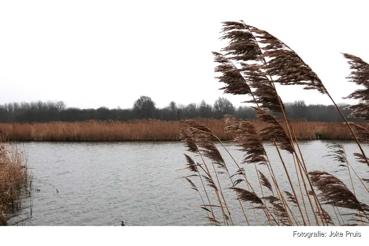 Natuurwandeling op zondag 15 februari door het Geestmerambacht