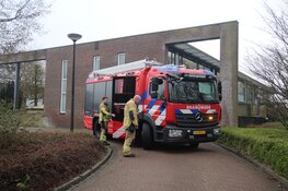 Brandweer start zoekactie naar vermiste kat in bosjes
