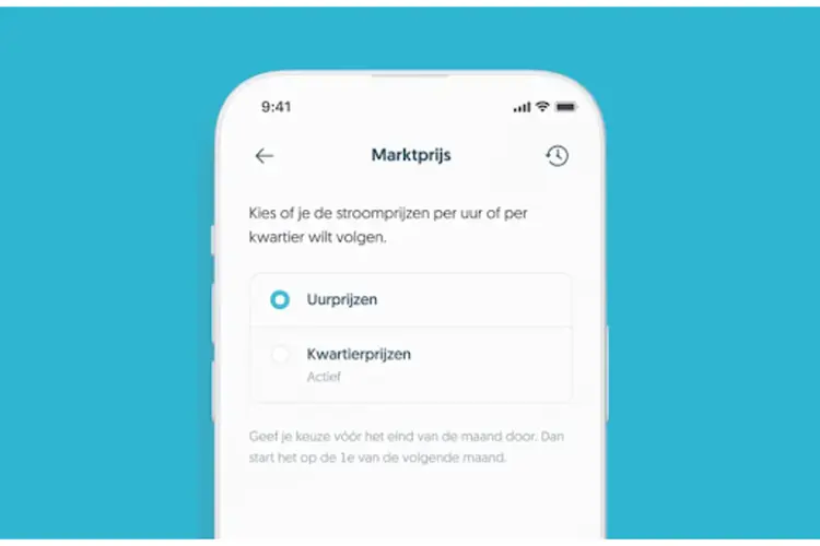 De toekomst van energieopslag voor thuis in Dijk en Waard