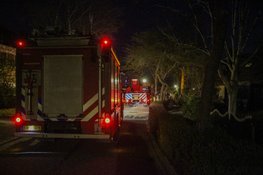 Schoorsteenbrand snel onder controle