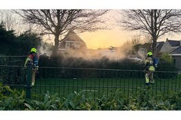 Heg in brand in Broek op Langedijk snel geblust