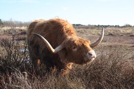 Geniet van de lente in eigen regio: De mooiste dagjes uit op een rij