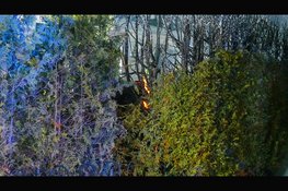 Heg vat vlam op chaletpark in Hensbroek