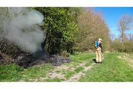 Brand in park 't Waarderhout: stapels riet afgebrand