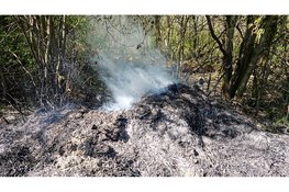Brand in park 't Waarderhout: stapels riet afgebrand